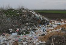 Sve više divljih deponija sa uginulim životinjama