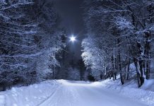 Nedeljni horoskop za period od 3. do 9. februara