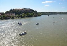 Jutros isplovila šesta regata „Vode Vojvodine”