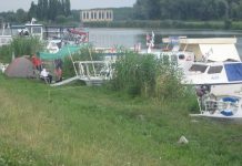 Regataši u Bečeju: Pesma i razgledanje u privremenoj marini