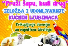 BUM: „Pruži šapu, budi drug“ ove nedelje na Zelenom korzu