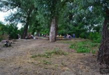 U Novom Bečeju spremi za sezonu kupanja: Svi čistili ostrvo