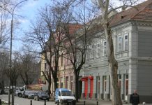 Besplatan internet u novobečejskom parku