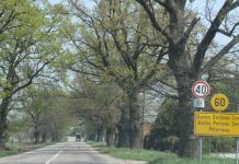 Szemétgyűjtő munkaakció Péterrévén