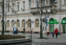 Imenovan novi Savet za bezbednost saobraćaja opštine Bečej Foto: Ilustracija, centar Bečeja
