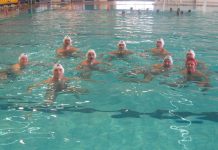 Vaterpolo: „Pijani somovi“ jure Bečejce Bečejci su bez borbe predali bodove rivalu | Foto: Vlastimir Jankov
