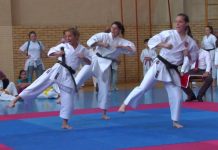 Četrdeset i pet godina Karate kluba Bečej