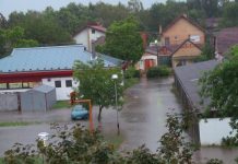 U ponedeljak dezinfekcija bečejskih ulica Kod Omladinske ulice... | Foto: Gajinović S.