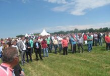 Svo znanje u službi zaštite od cerkospore Veliko interesovanje za „Dane polja šećerne repe“ u Bečeju | Foto: Vlastimir Jankov