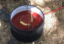 U toku prijava za „Zlatni kotlić” Bačko Gradište 2016