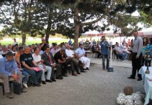 „Kvartet“ na tradicionalnom turniru Sa velike fešte povodom veka igranja fudbala u Bačkom Gradištu | Foto: Vlastimir Jankov