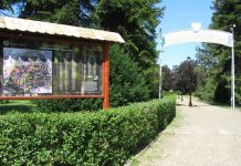 Környezetvédelem világnapja