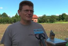 Bečejci u pčelarstvu traže dodatni prihod