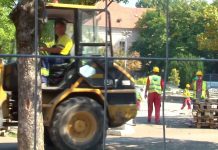Spomenik se premešta za deset dana, staro drveće sa trga ogrev za socijalno ugrožene