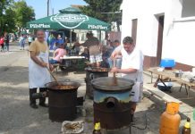Petrovoselci uspešno organizovali manifestaciju „Dan sela“