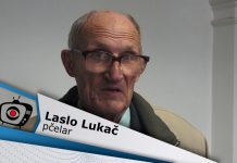 Stotinu i dvadeset i pet godina organizovanog pčelarenja u Bečeju