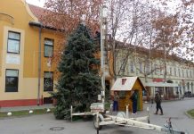 Novi Bečej: Velika jelka postavljena u centru, čeka decu