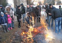 Pravoslavci u Bečeju tradicionalno obeležili Hristovo rođenje Zapaljeni badnjak u crkvenoj porti ugrejao je vernike | Foto: Vlastimir Jankov