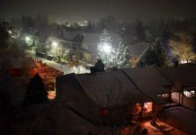 Sneg u Bečeju, službe na terenu Bečej u snegu | Foto: Aleksandar Đekić
