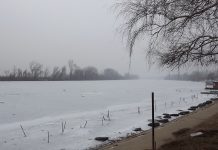 Novobečejci otkazali plivanje za časni krst Tisa danas u Novom Bečeju