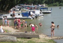 Deveta regata „Vode Vojvodine“ u Bečeju Usidrena plovila na Tisi kod Bačkog Petrovog Sela | Foto: Vlastimir Jankov