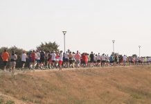Video: Dve stotine takmičara na prvom bečejskom maratonu