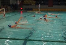 Vaterpolo: Bečejci i u drugom kolu Prve B lige igraju kod kuće Bečejci dočekuju novosadski Dunav | Foto: Vlastimir Jankov