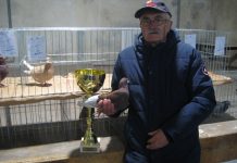 Veliki pehar ostao kraj Tise Bečejac Žarko Grčić sa prvakom rase i peharom koji mu je golub doneo | Foto: Vlastimir Jankov