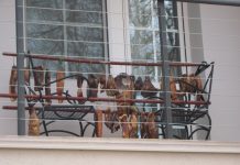 Praktično okićen balkon
