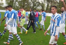 Fudbal: U godini jubileja ciljaju prvoligaški karavan Bečejci su završili jesenju sezonu na impresivan način | Foto: Vlastimir Jankov