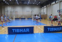 Odbojka: Leskovčani su favoriti, ali… Dobro su radili u pauzi, pa očekuju boljitak u nastavku sezone | Foto: Vlastimir Jankov