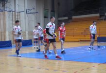 Odbojka: Tisa plitka Erama Veselin Džigurski je prvi put kao kapiten predvodio saigrače | Foto: Vlastimir Jankov
