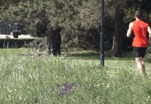 Bečejci u subotu uređuju trim stazu u Goranskom parku