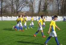 Fudbal: Jedan pehar ispustili, za drugi se bore Kup je završena priča, Bečejci se sad okreću okršajima za bodove | Foto: Vlastimir Jankov