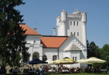 Brojni Bečejci prvomajski praznik proveli u prirodi Predivan ambijent u okruženju dvorca Bogdana Dunđerskog | Foto: Vlastimir Jankov