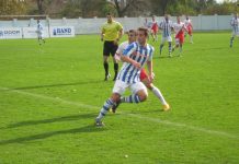 Fudbal: Novi prvoligaš OFK Bečej 1918 brzo rešio pitanje trenera Aleksandar Mirkov je otišao u Vojvodinu | Foto: Vlastimi Jankov