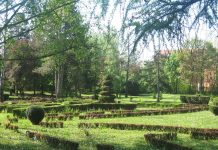 Kroz IPA projekat Mađarska – Srbija realizacija „Eko škole“ Goranski park je jedna od reprezentativnih eko zajednica u Bečeju | Foto: Vlastimir Jankov
