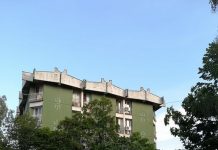 Nevreme rušilo drveće u Bečeju