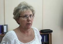 Kishajókikötő épül Óbecsénél