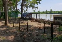 Zauzeli parcele u šumi kraj Tise, inspekcije na terenu