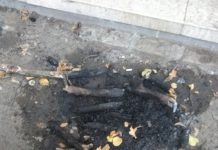 Palili vatru u centru Bečeja