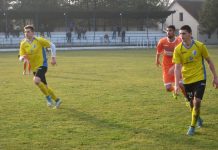 Fudbal: Osokoljeni pobedom u Novom Pazaru, Bečejci dočekuju Bežaniju Od Mladena Kovačevića i Koste Dražića se očekuju golovi | Foto: Vlastimir Jankov
