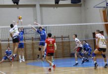 Odbojka: U subotu sa Dunav volejom Ognjen Koković u akciji | Foto: Vlastimir Jankov