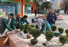 Počelo prolećno uređenje grada Deo mobilne ekipe JP „Komunalac“ u radu