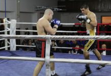 Boks: Stižu mladi bokseri Novosađanin Nikola Miljković i Nišlija Vukašin Obradović najavili su kvalitene borbe | Foto: Vlastimir Jankov