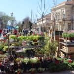 Prva jesenja Cvetna pijaca 29. i 30. septembra u Bečeju