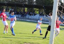Fudbal: Sve rešeno u prvom poluvremenu Isidor Milovanov je sve sigurniji na golu Vojvodine | Foto: Vlastimir Jankov