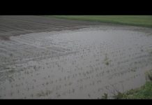 Nevreme u Bačkoj: Nezapamćena količina kiše i grada u Drljanu