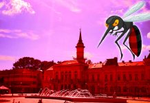 Petnaest činjenica o komarcima koje možda niste znali