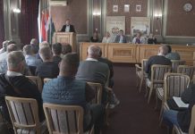 U bečejskoj Skupštini opštine danas tri sata o javno – privatnom partnerstvu za javnu rasvetu i radu tri komunalna preduzeća